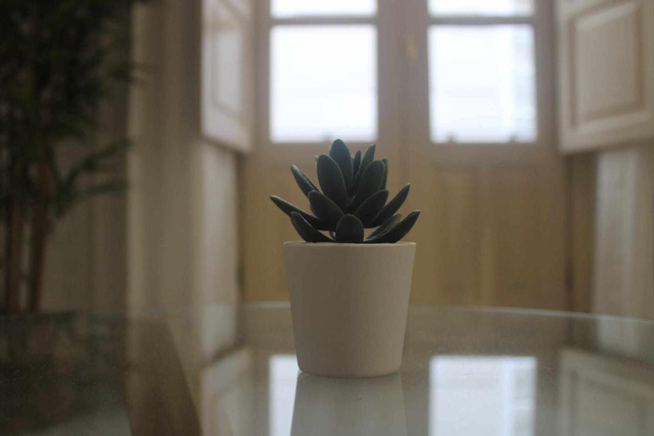 Acogedor Apartamento En El Corazon De Malaga Apartment Екстериор снимка